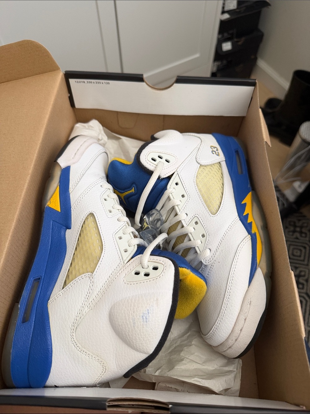 Retro Jordan 5 Laney